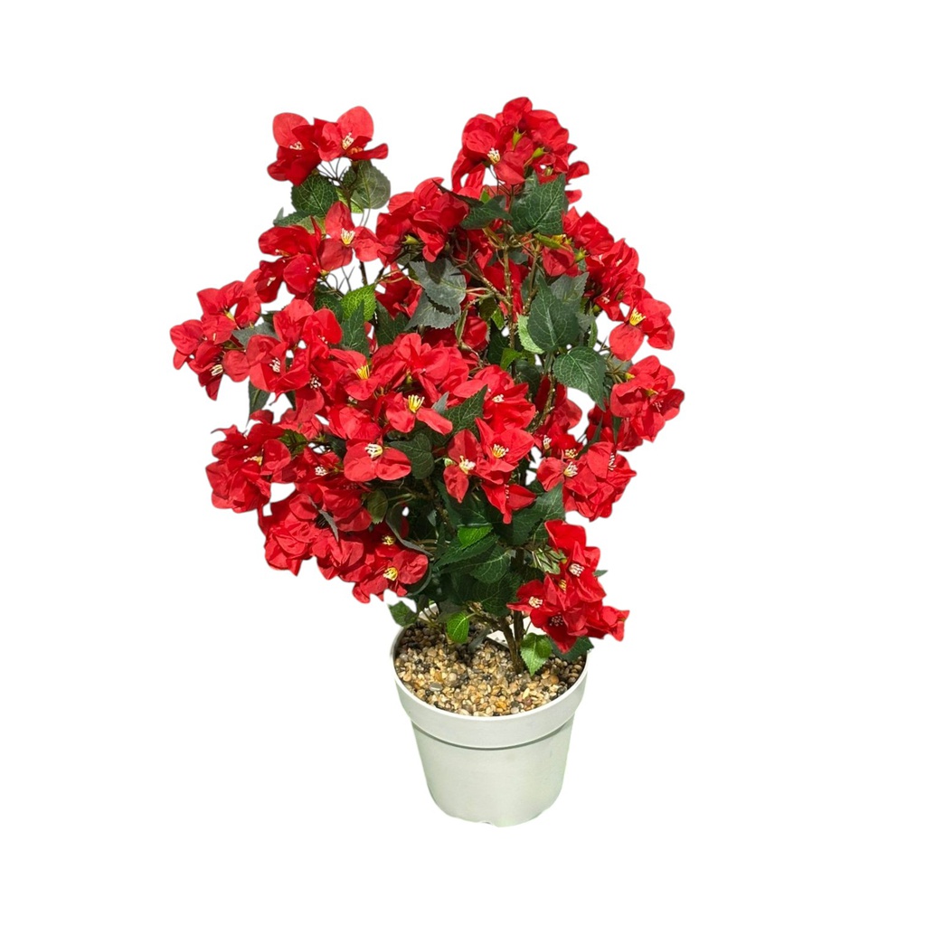 Classy Homes Artificial Plant, 70cm