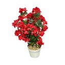 Classy Homes Artificial Plant, 70cm