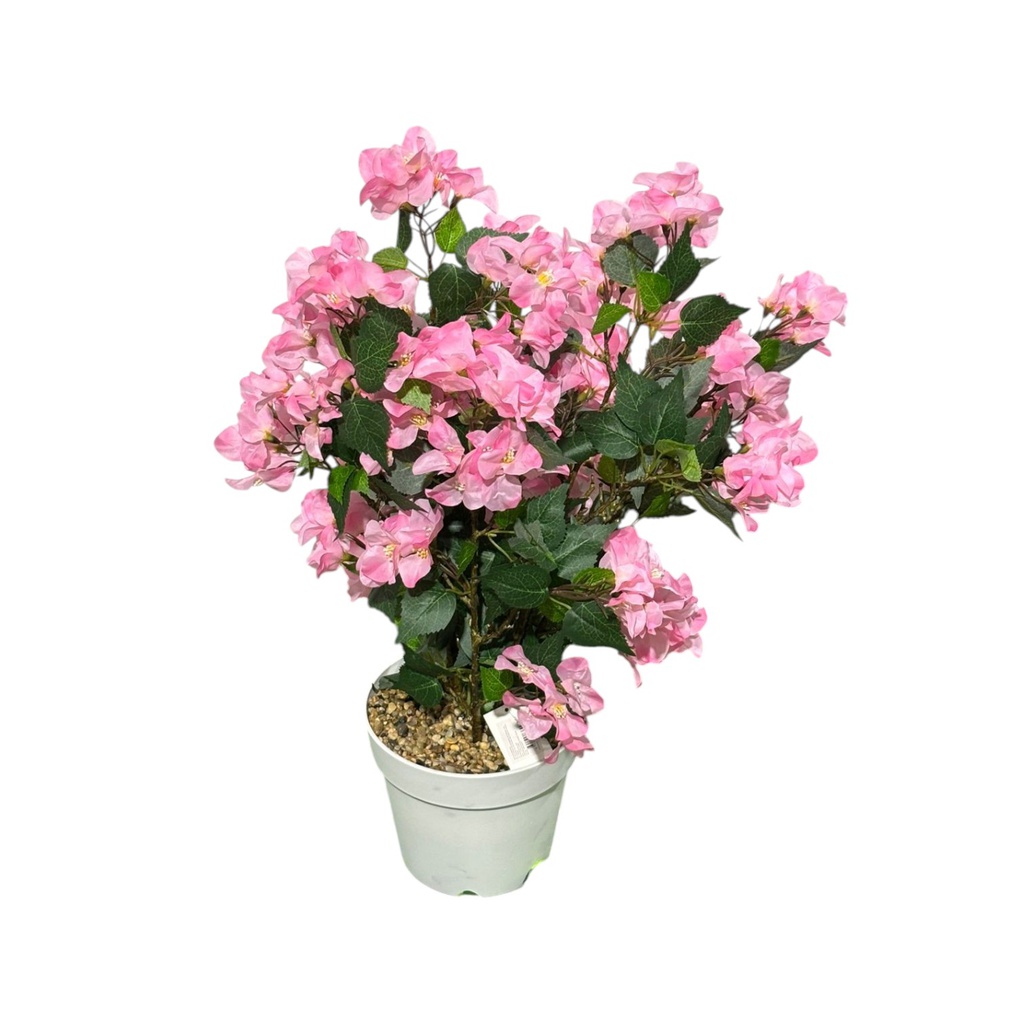 Classy Homes Artificial Plant, 70cm