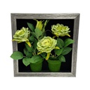 Classy Homes Artificial Plants With Frame, 30x30cm