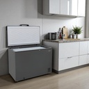 Sankey Freezer 11 Cu. Ft. Silver