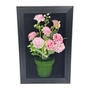 Classy Homes Artificial Plants With Frame, 20x30cm