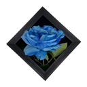 Classy Homes Artificial Plants With Frame, 20x20cm