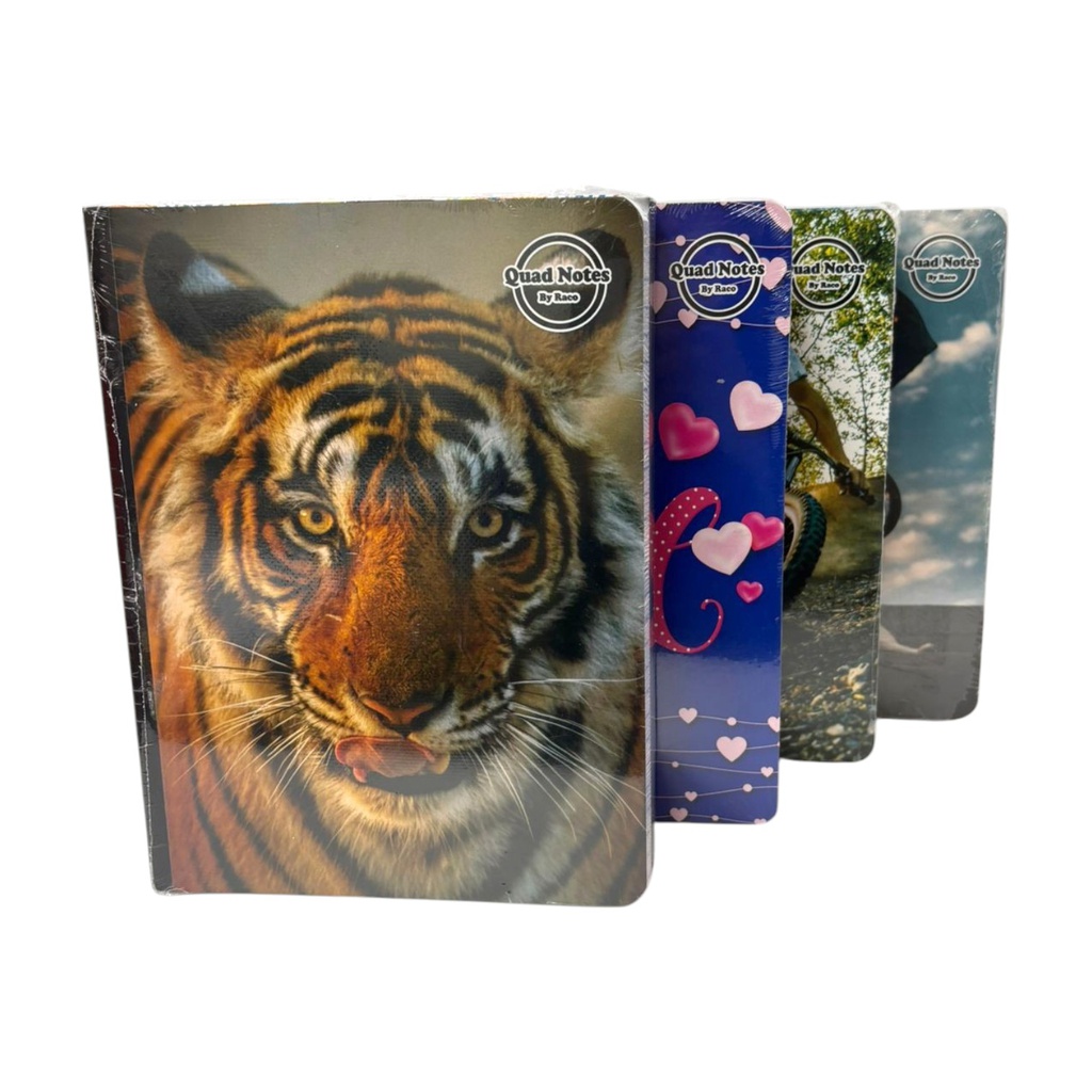 Quad Notes Notebook Boys Design 100 Sheets - 6Pk