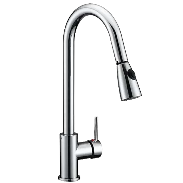 Briggs Kitchen Faucet Single-handle with Pull-Down Swivel Sprayer, Chrome