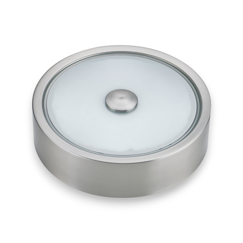 Royal Homes Flush Mount Ceiling Light, 2x E27 40W Satin Nickel