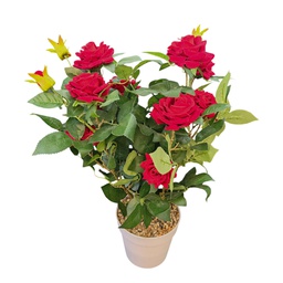 [HHGD-PLNT-01061 (CH0478P15) CHAP31856] Classy Homes Artificial Plant, 67cm