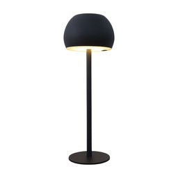 [EALT-FLGT-01011
(RHJR-2094)] Royal Homes Table Light USB, Black/ Gold