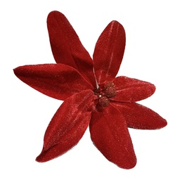 [831-MX2467-526A] ****Miro Poinsettia 24cm Red