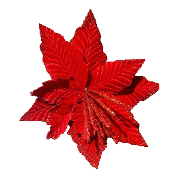 [XQ145900630R] Christmas Poinsettia Stem 38cm